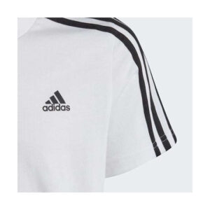 fixedratio 20221214130608 75974e25