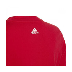 fixedratio 20230316144915 fc3fc815