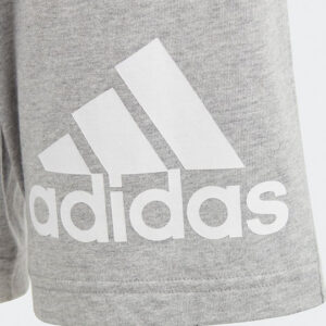 fixedratio 20230222092812 886cd6f4