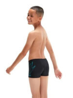 fixedratio 20230425134509 fc833f51