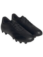 fixedratio 20230213124630 46385d82