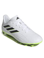 fixedratio 20230703110737 c513a898