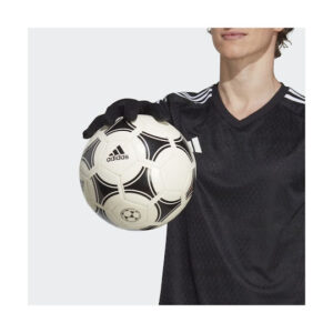 fixedratio 20230210094504 d6d94a40