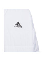 fixedratio 20230809122654 45900e5f