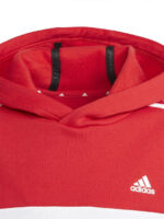 fixedratio 20230810113433 eb2ab4dd