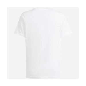 fixedratio 20240131091805 29542757