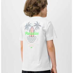 fixedratio 20240405100929 342fde84