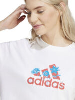 fixedratio 20240307130026 9f2caa95