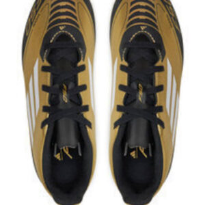 fixedratio 20240626133028 b6ba43b5