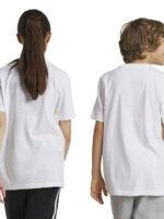 fixedratio 20240613165858 5f2381a9