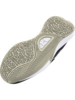 fixedratio 20240925090303 20681956