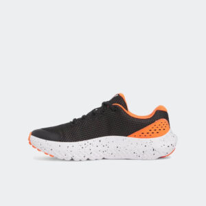 20250211123302 47569619