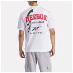 20250224093144 a0a244ad