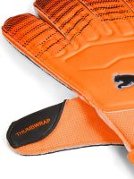 fixedratio 20251106164857 159a9942