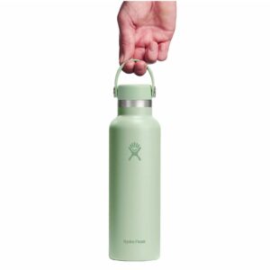 hydro flask 21oz standard mouth insulated bottle flex cap 621ml aloe 1 1923728