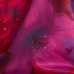 ZAKETA ADIDAS x FARM RIO HOUSE OF TIRO Mpez KD4634 HM12